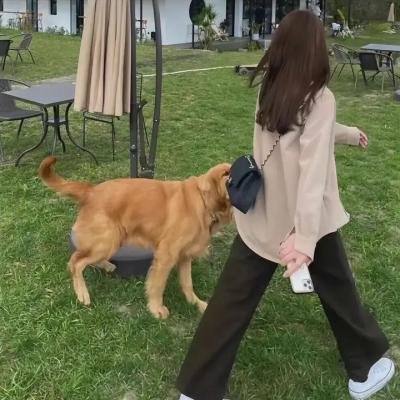 脂粉奇兵