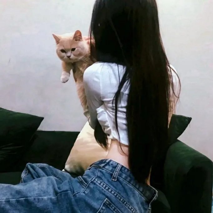 探长拉瓦丁